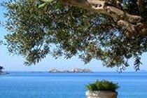 Hotel Boutique & Wolff 4*